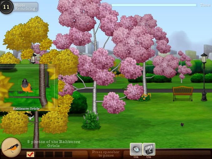 Snapshot Adventure Snapshot Adventure