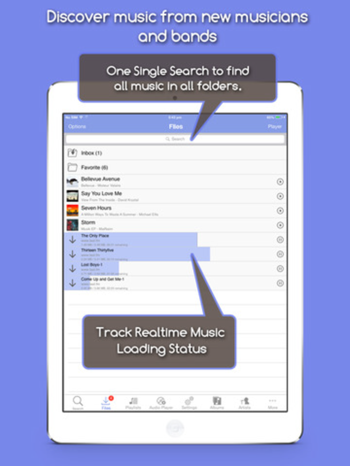 youtube music downloader iphone