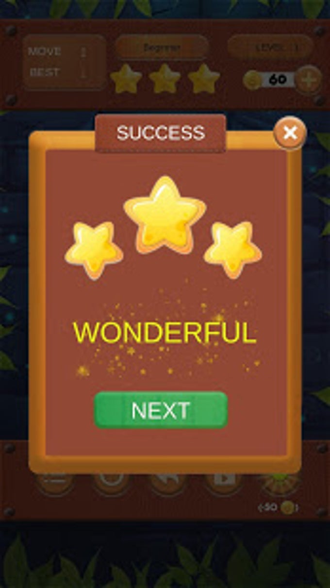 Collide the Balls-Slide Puzzle