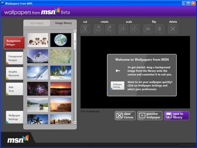 Wallpapers from MSN Wallpapers from MSN
