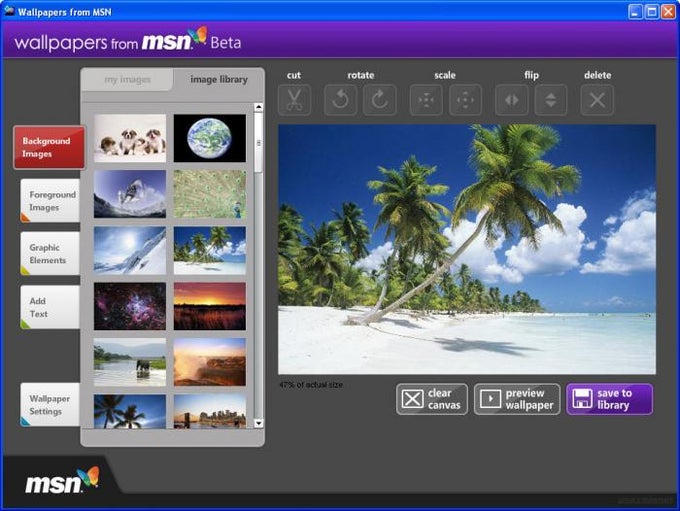 Wallpapers from MSN Wallpapers from MSN