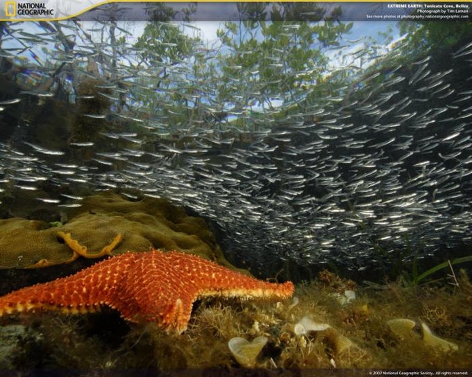 National Geographic Extreme Earth National Geographic Extreme Earth