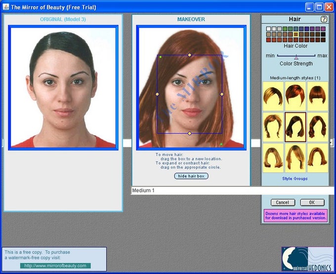 The Mirror of Beauty