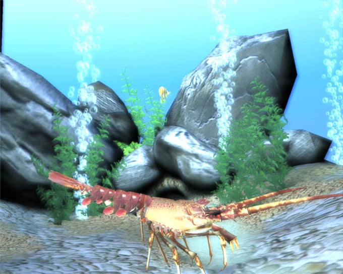 Free 3D Marine Screensaver Free 3D Marine Screensaver