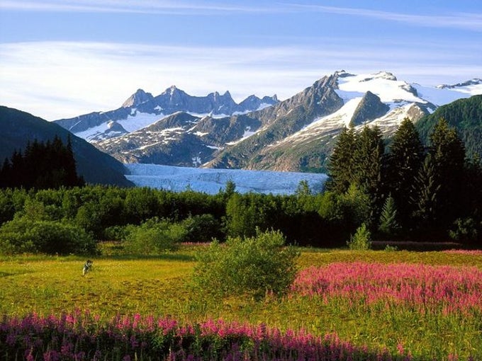 Alaskan Sketches Free Screensaver Alaskan Sketches Free Screensaver