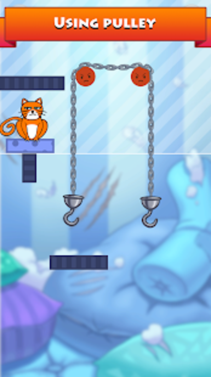 Hello Cats Hello Cats