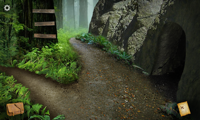 The Hunt for the Lost Ship