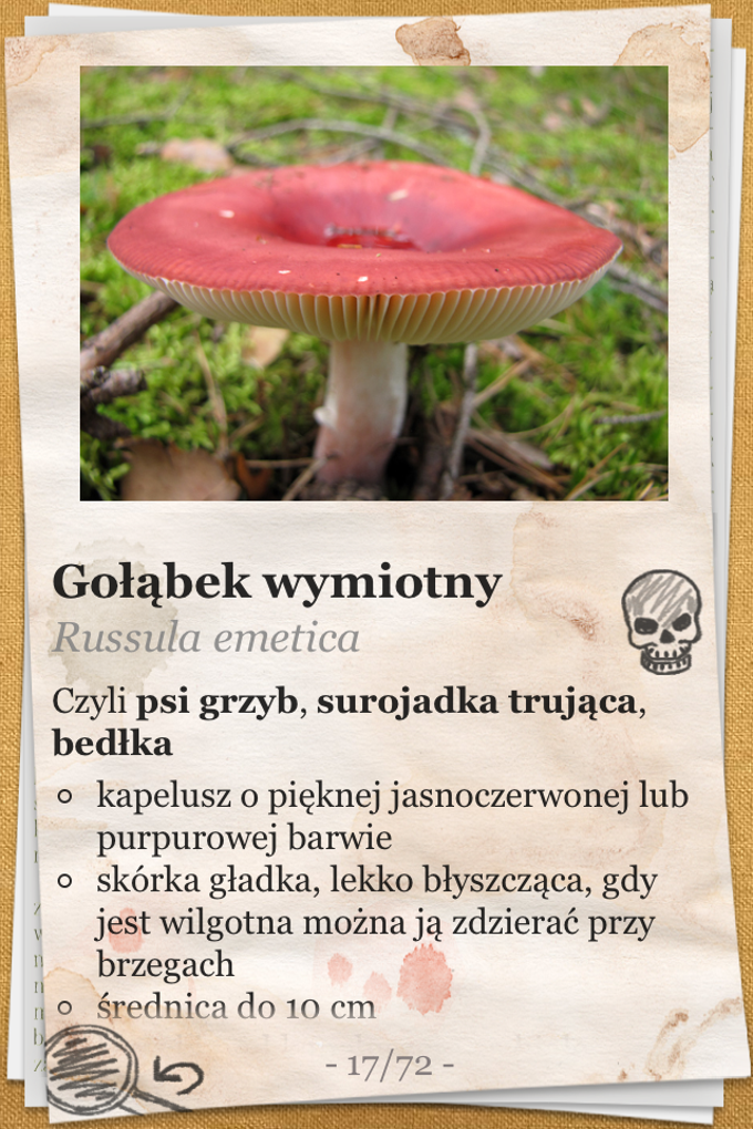 The Mushroom Book The Mushroom Book