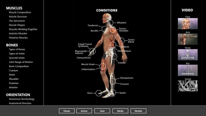 Muscle and Bone Anatomy 3D