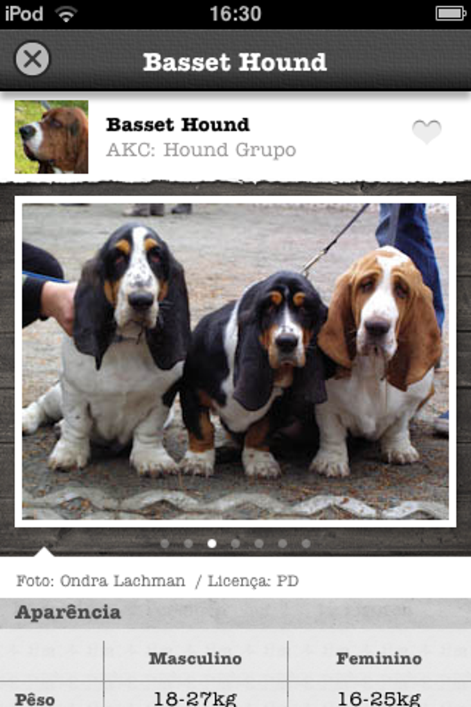 Guia de Raças de Cães