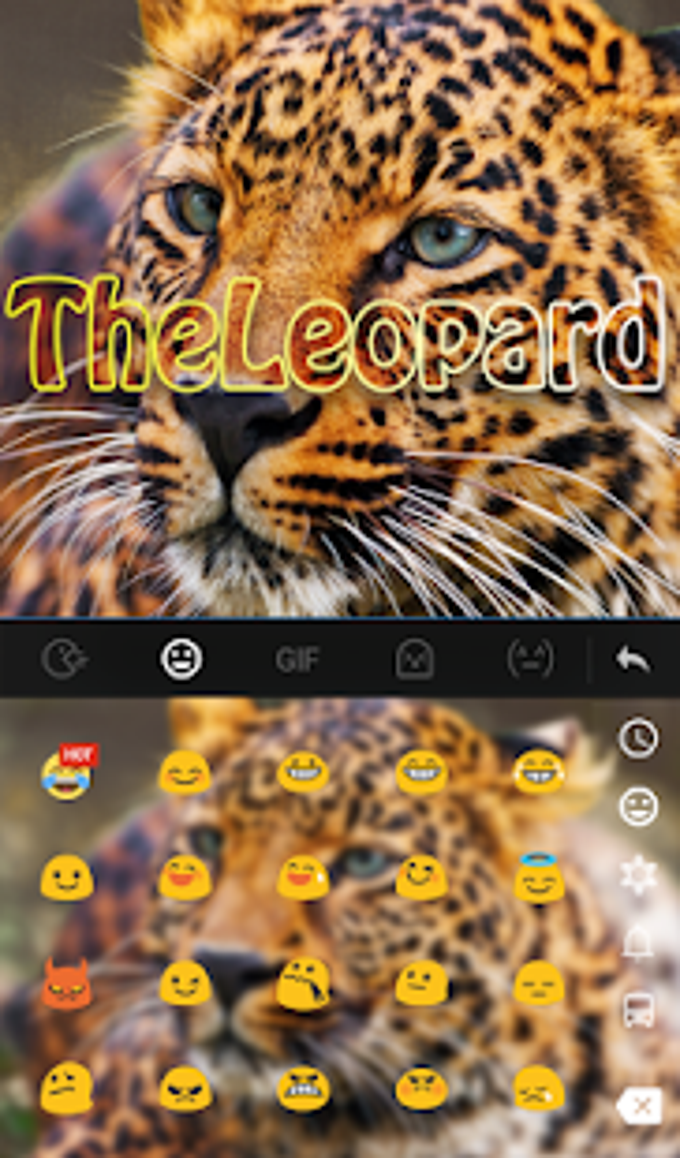 The Leopard Keyboard Theme