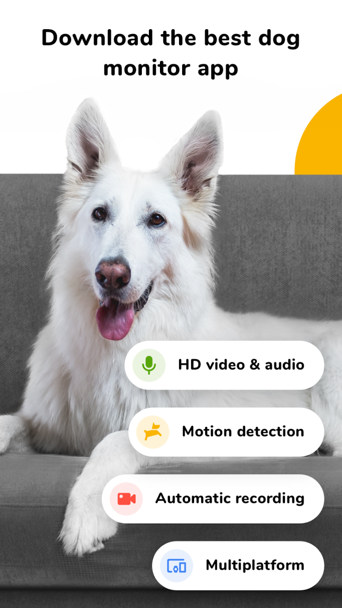 Barkio: Dog Monitor  Pet Cam