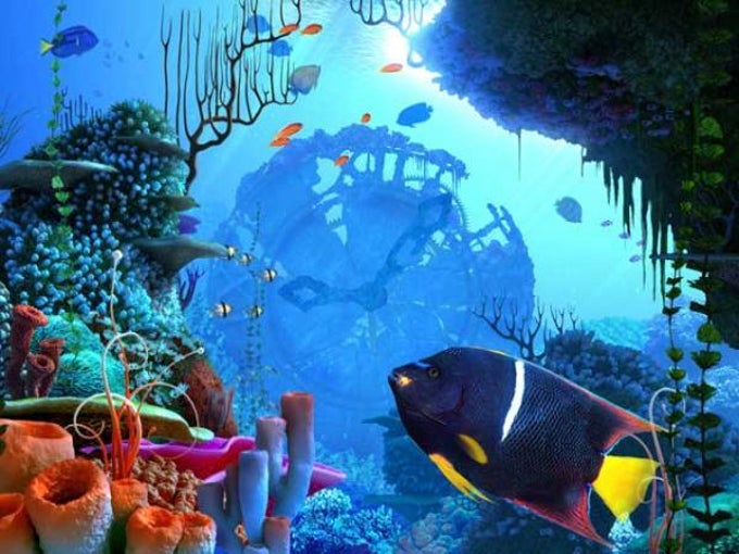 Coral Clock 3D Screensaver Coral Clock 3D Screensaver