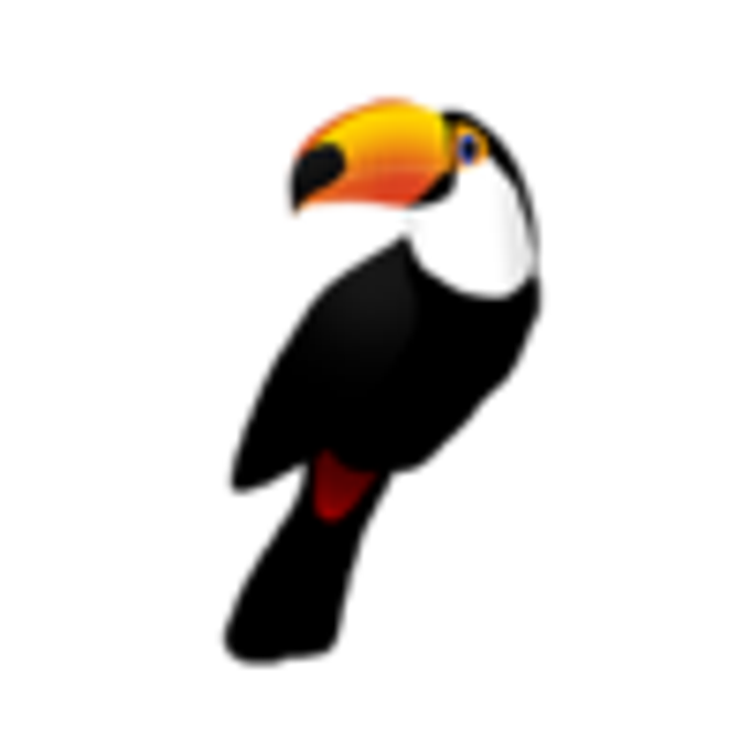 Toucan Toucan