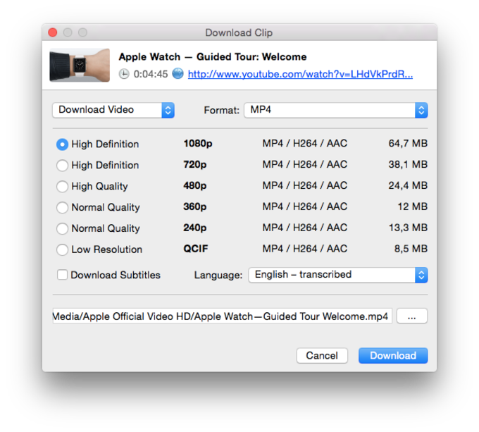 Youtube videos free download software for mac