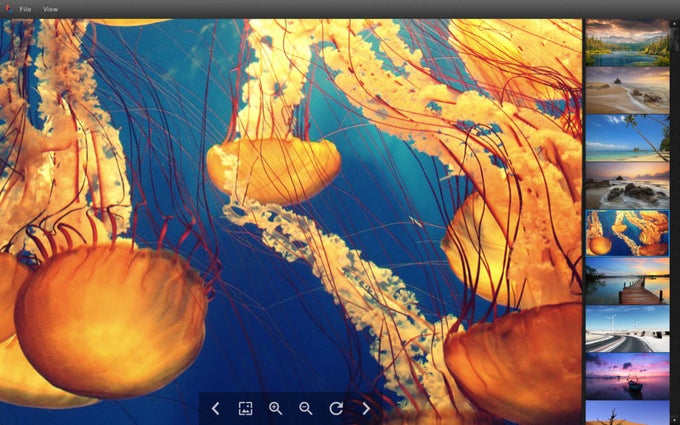 Bloom Image Viewer Bloom Image Viewer