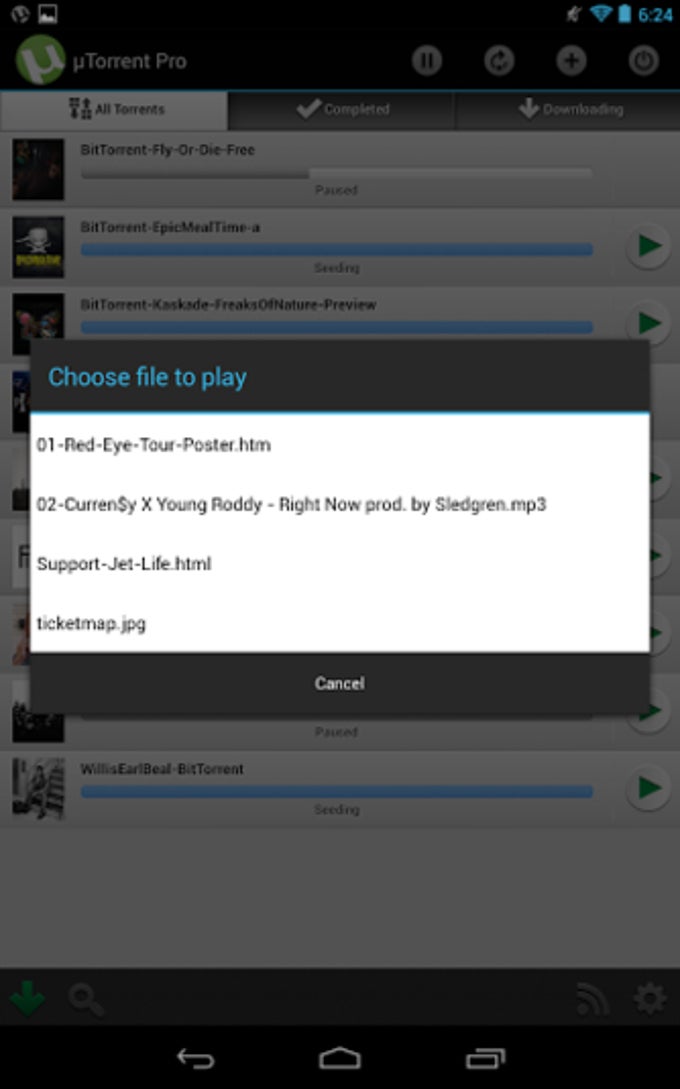 uTorrent Pro uTorrent Pro