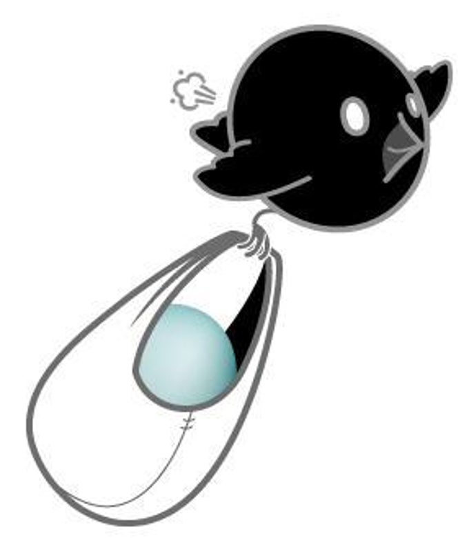Songbird Songbird