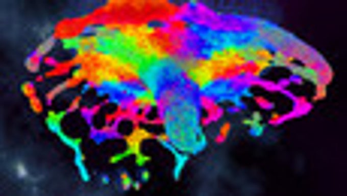 Chroma Lab Chroma Lab