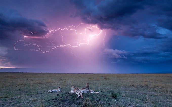 Tema Raios Tema Raios