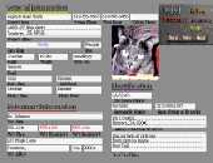 SafeCat OS SafeCat OS