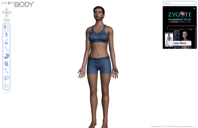 Zygote Body Zygote Body