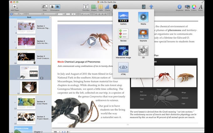 Templates For IBooks Author Free