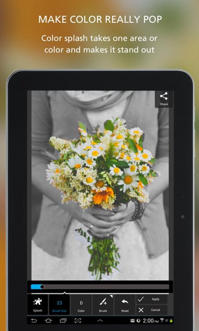 Autodesk Pixlr Autodesk Pixlr