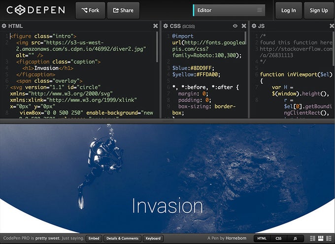 CodePen CodePen