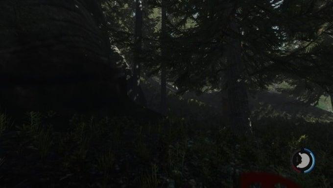 The Forest The Forest