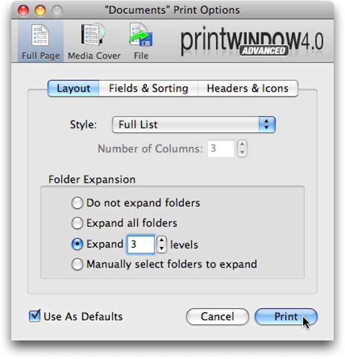 Print Window Print Window