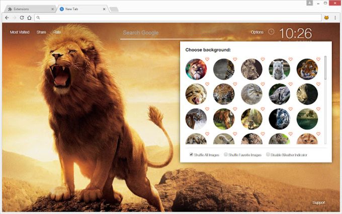 Wild Cats Wallpaper HD Lion-Tiger-Puma Themes - Download