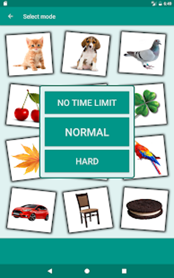 Brain game. Picture Match.