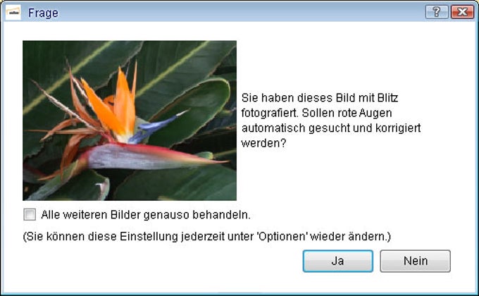Cewe Fotobuch Cewe Fotobuch