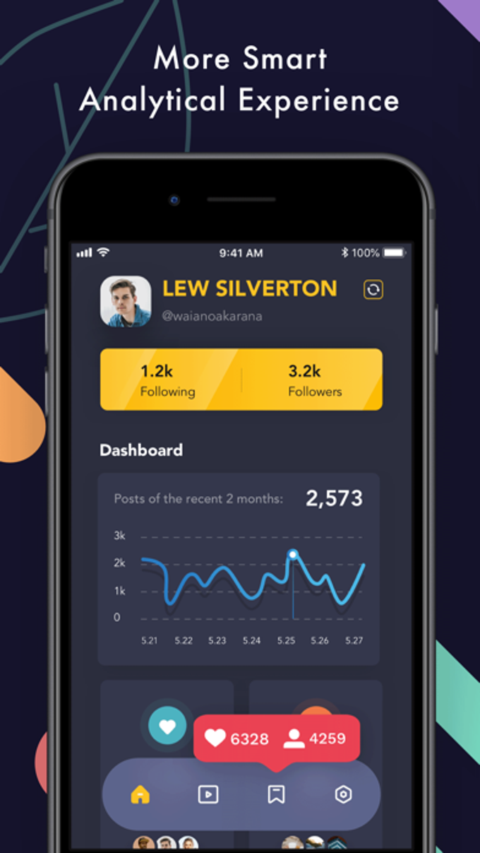 Followers Report Story