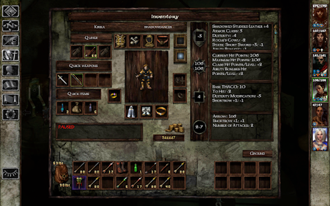 Icewind Dale: Enhanced Edition Icewind Dale: Enhanced Edition