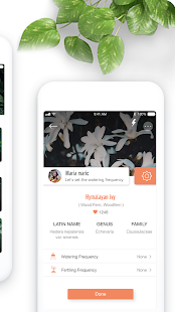 PlantFinder - Flower Plant Identification PlantFinder - Flower Plant Identification