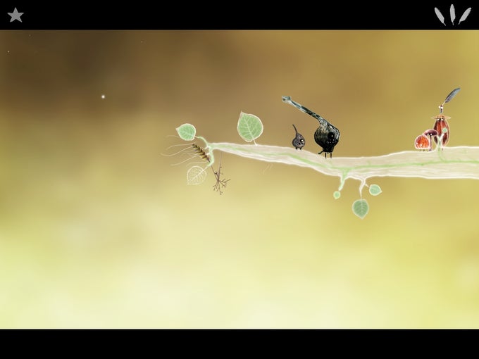 Botanicula Botanicula