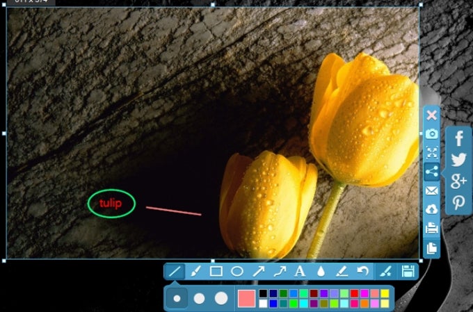 Apowersoft Screen Capture Pro Apowersoft Screen Capture Pro
