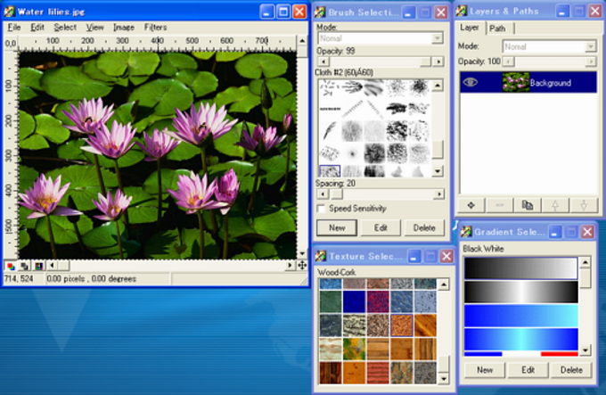 PaintStar PaintStar