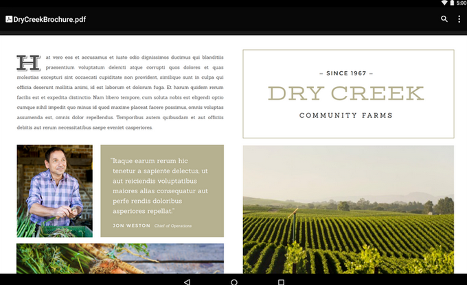 Google PDF Viewer