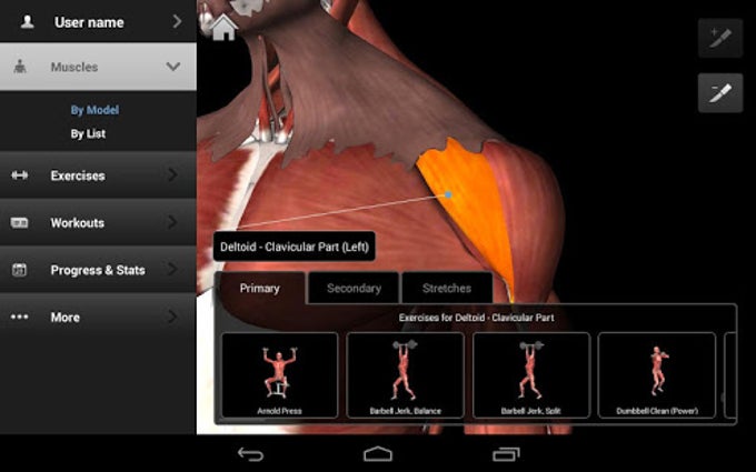 iMuscle 2 iMuscle 2