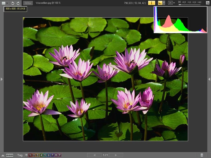 Nikon View Nx2 For Mac Adminlimi S Diary