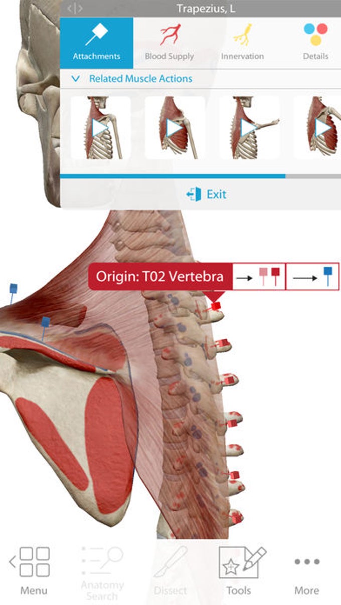 Human Anatomy Atlas 2018 Human Anatomy Atlas 2018