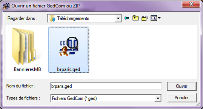 GedCom Vision GedCom Vision