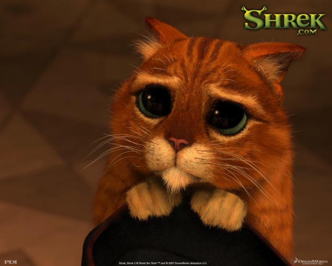 Fond d'écran Shrek Fond d'écran Shrek