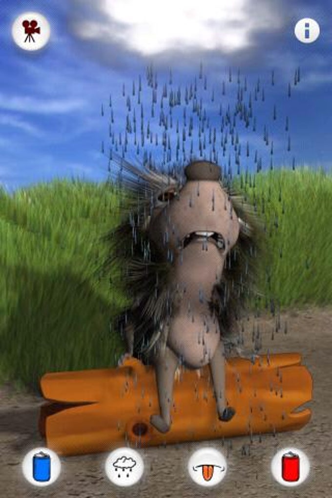 Talking Harry the Hedgehog