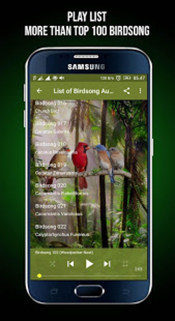 Birdsong Sound APK для Android — Скачать