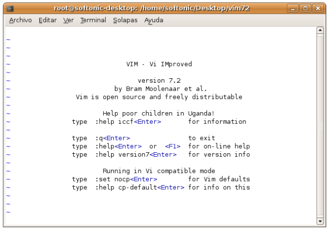 linux vim command
