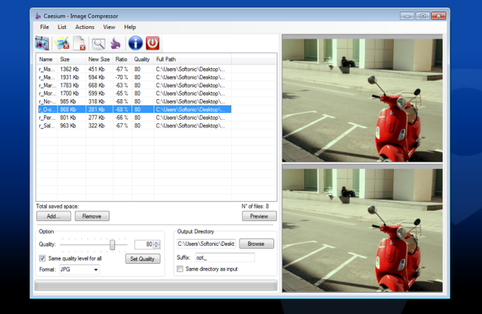 Caesium Portable Caesium Portable